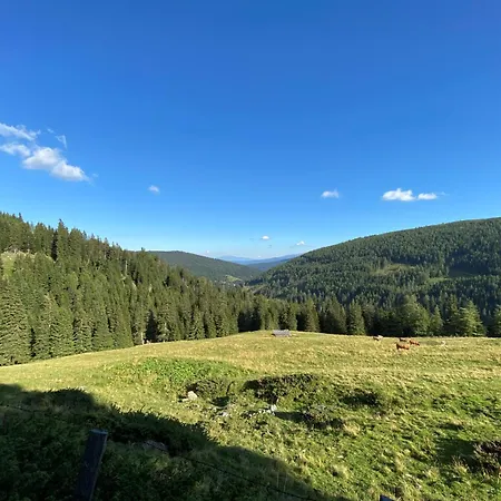 Feriehus Sonnberg - Entspannung Pur Im Luxus Mit Whirlpool-sauna