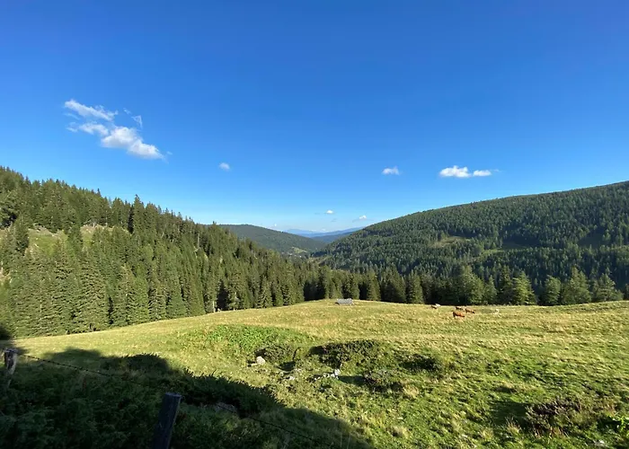 펜션 Sonnberg - Entspannung Pur Im Luxus Mit Whirlpool-sauna